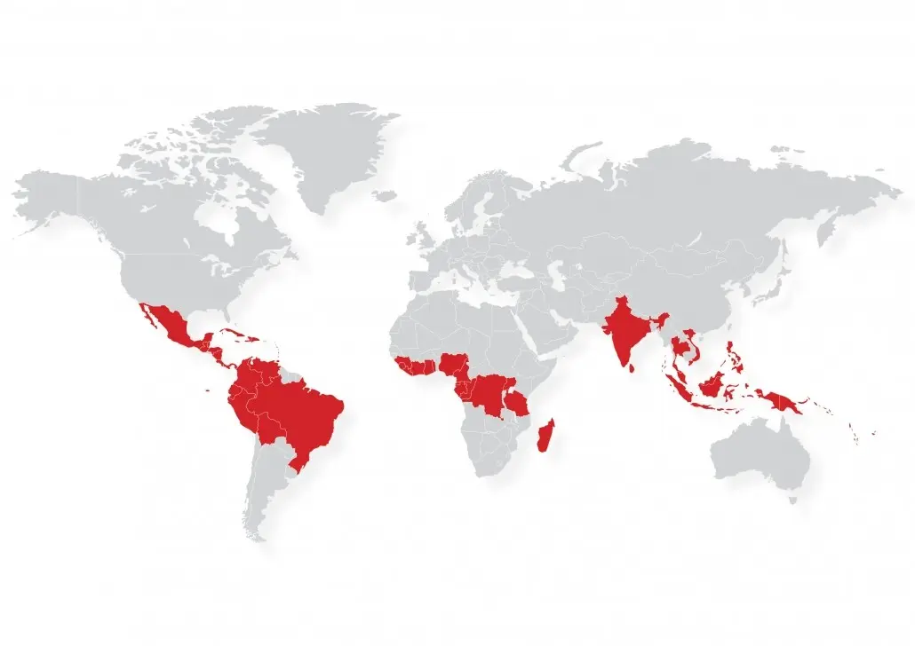 where are chocolate beans grown - Can cocoa beans grow anywhere in the world