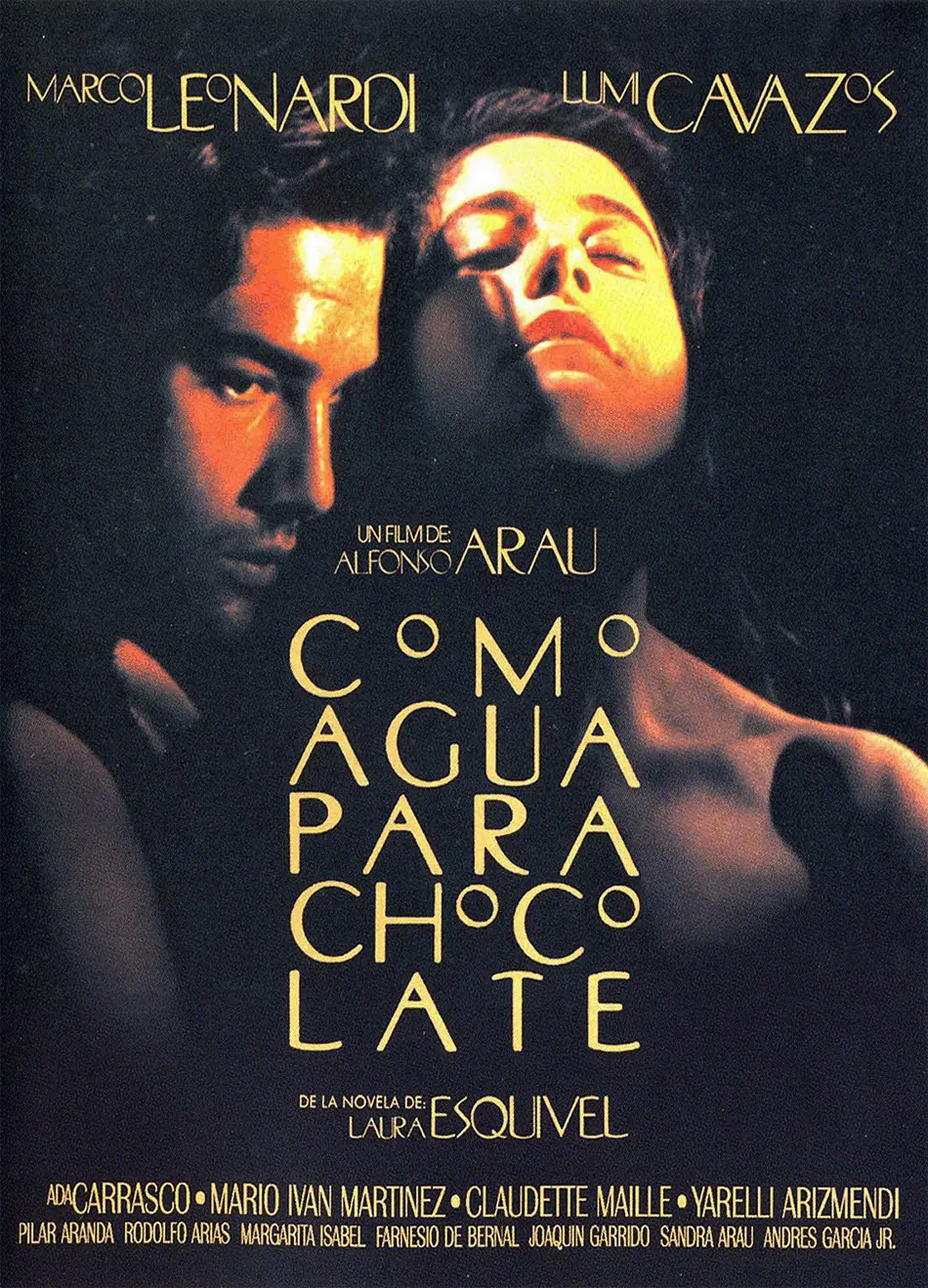 genero de como agua para chocolate - Como agua para chocolate estilo