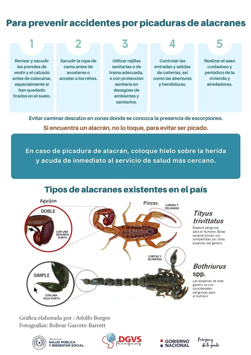 alacranes con chocolate - Cómo hacer para no tener alacranes en la casa