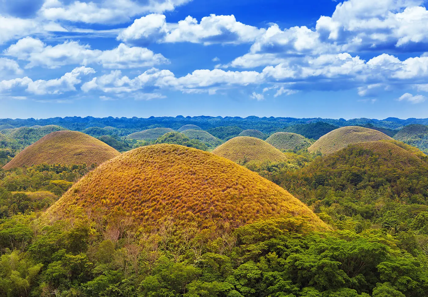 chocolate hills bohol - Cómo se forman las colinas de chocolate en Bohol