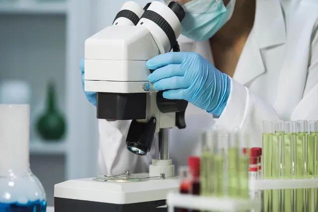 analisis microbiologico del chocolate - Cómo se hace un análisis microbiológico
