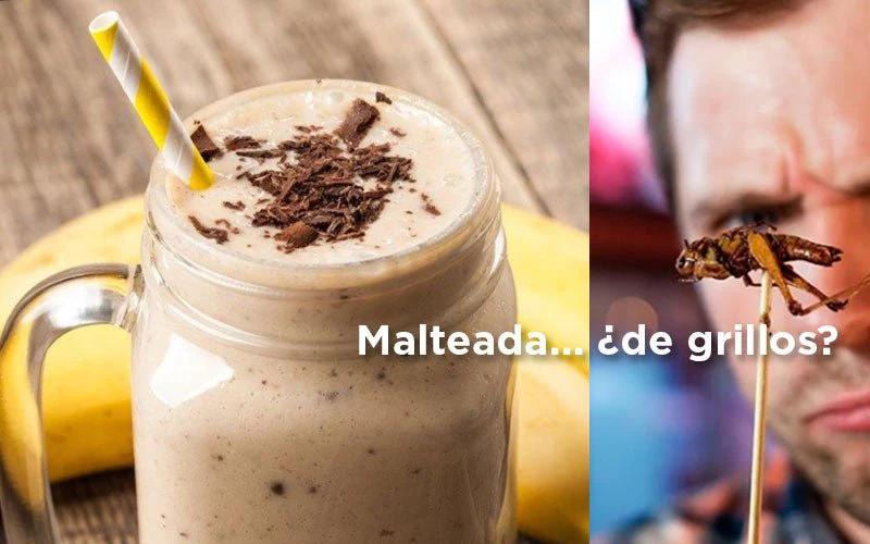 chapulines con chocolate - Cómo se pueden comer los chapulines