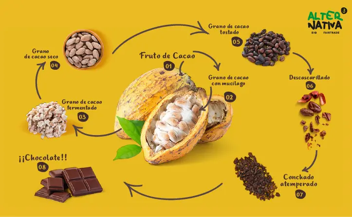 como moler el cacao para hacer chocolate - Cómo se realiza la molienda del cacao