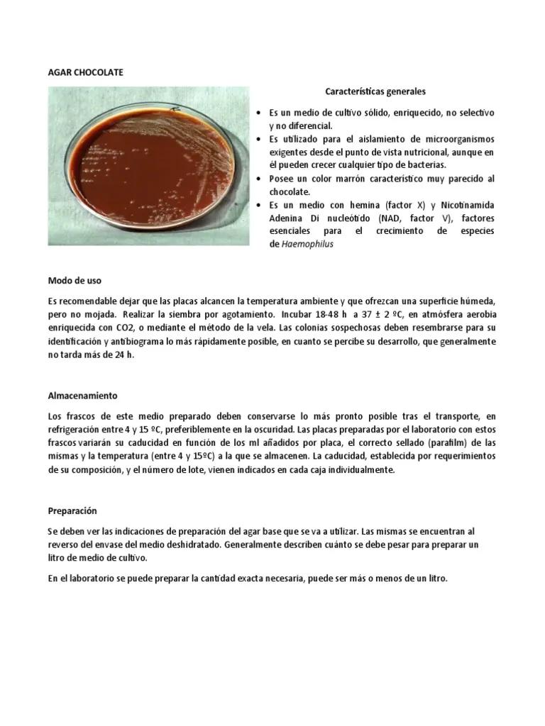 como hacer agar chocolate - Cómo sembrar chocolate en agar