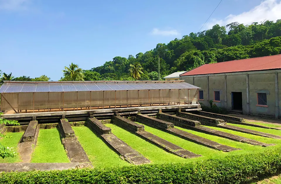 caribe chocolate - Cuál es la capital del chocolate del Caribe