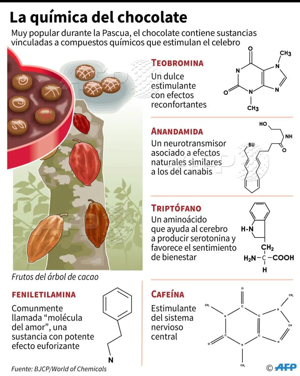 Componentes Químicos del Chocolate: Una Aventura en el Sabor y Aroma - Cuáles son los 3 elementos que contiene el cacao componentes quimicos del chocolate - Cuáles son los 3 elementos que contiene el cacao