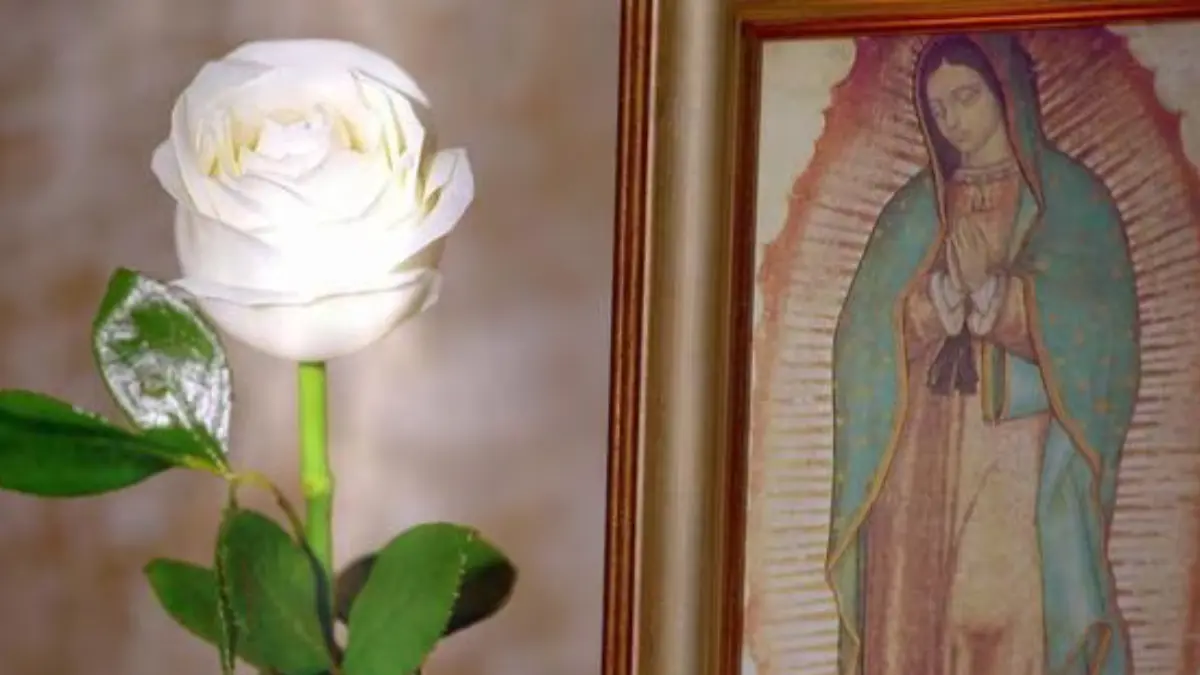 la rosa de guadalupe de su propio chocolate completo - Cuándo salió por primera vez La Rosa de Guadalupe