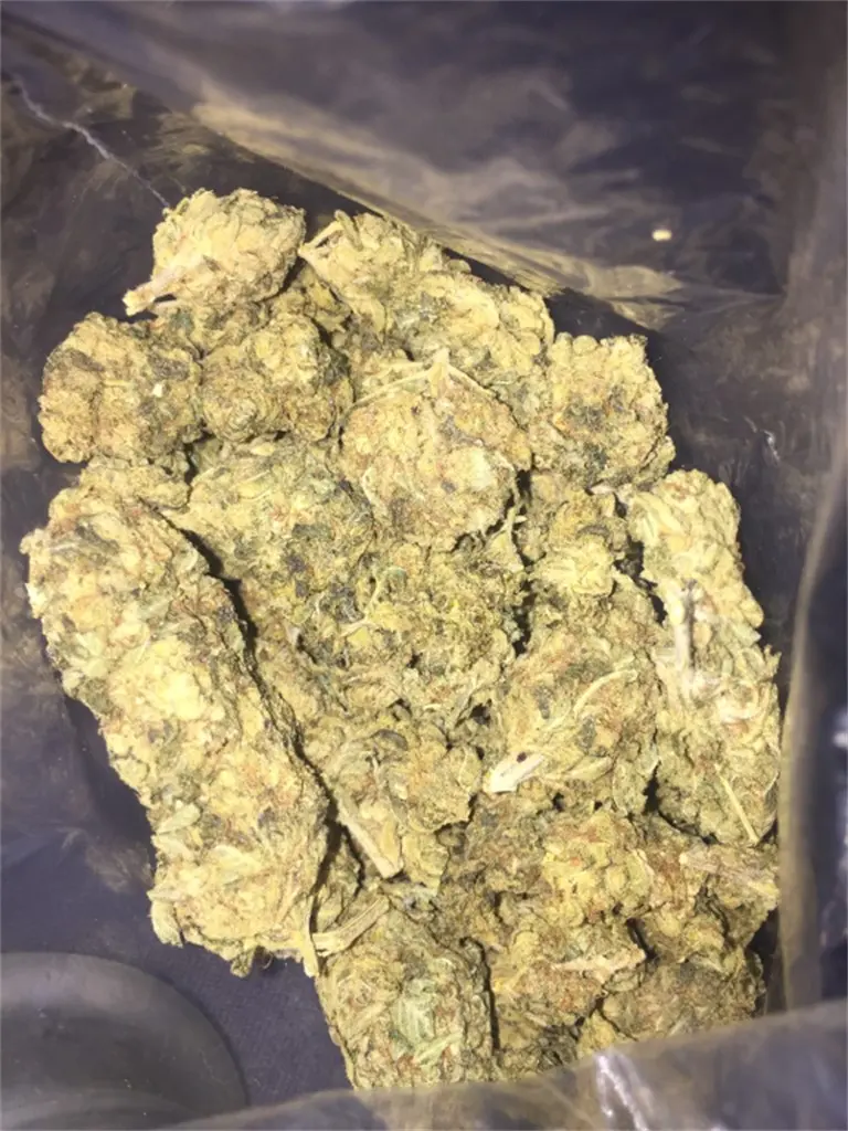 chocolate diesel - Cuándo salió Sour Diesel