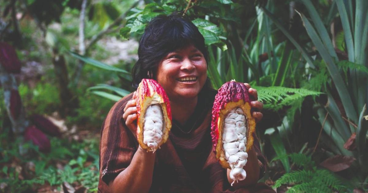 precio del chocolate en estados unidos - Cuánto está el kilo de cacao en Perú en 2024 hoy