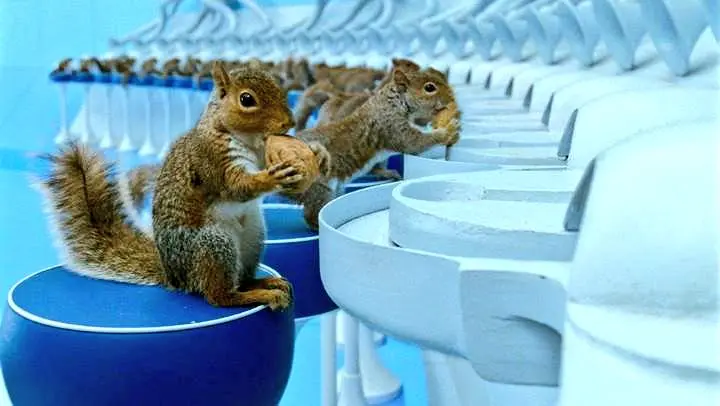 ardillas charlie y la fabrica de chocolate - Cuántos animales tiene Veruca Salt