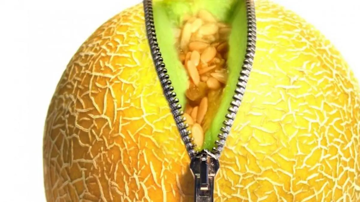 chocolate melon - Cuántos melones se pueden comer al día