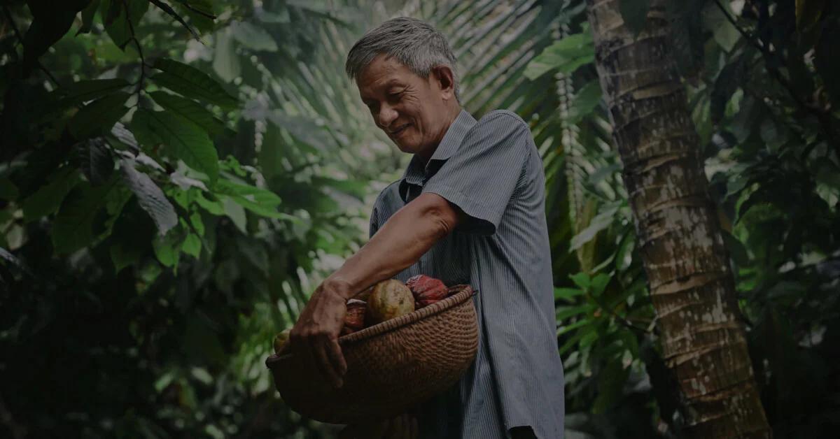 Marabou Chocolate: Historia, Controversias y Presencia Global - Es ético el chocolate Marabou marabou chocolate - Es ético el chocolate Marabou