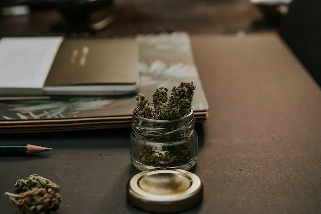 chocolate skunk leafly - How strong is Skunk strain