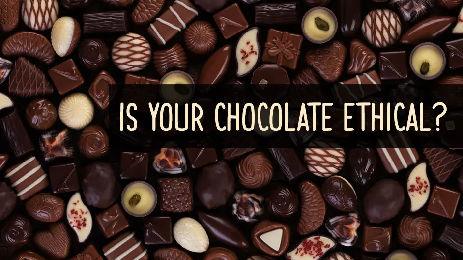 chocolate slavery free - Is chocolate ethically sourced