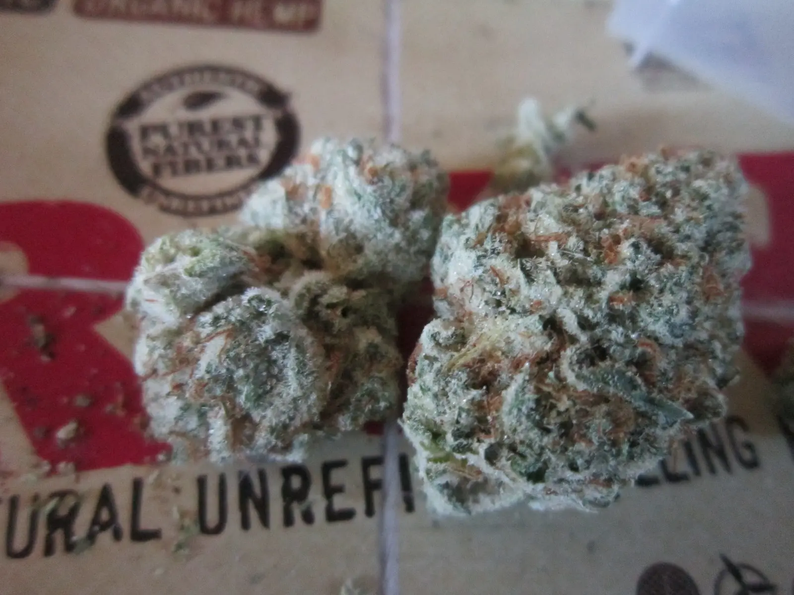 chocolate chip cookies strain - Is Cookies strain a sativa or indica