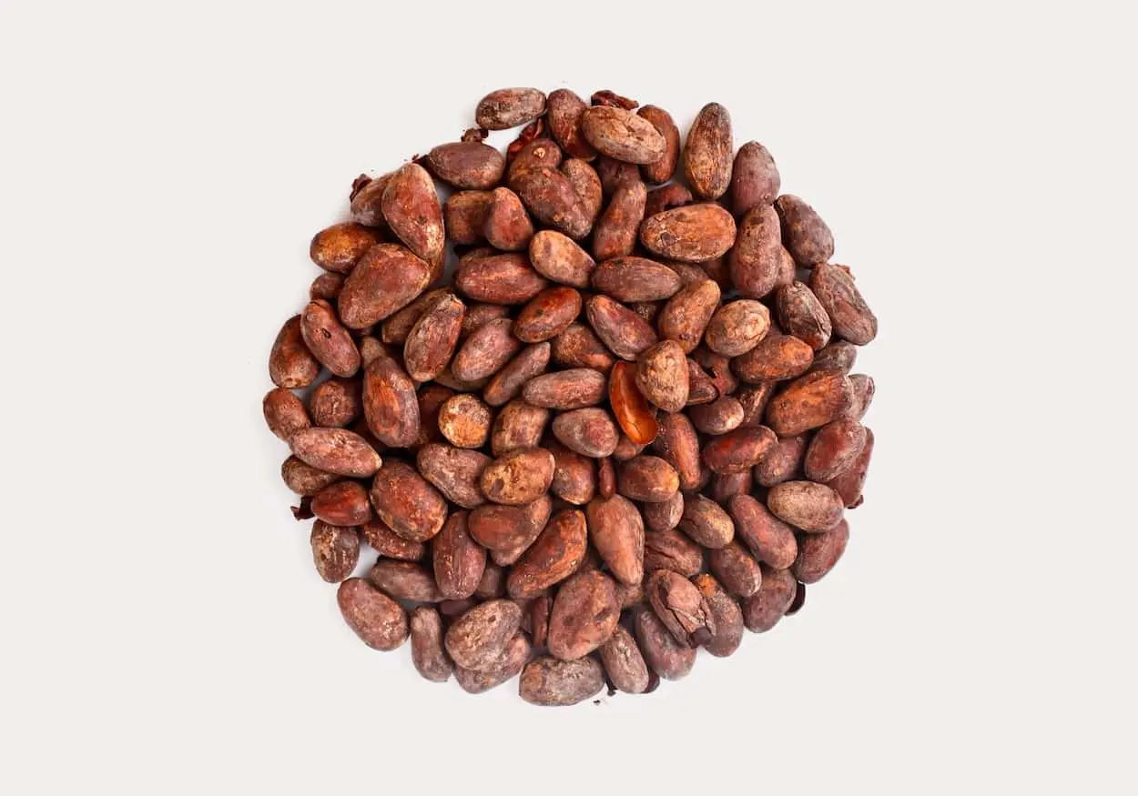 raw chocolate beans - Is it good to eat raw chocolate