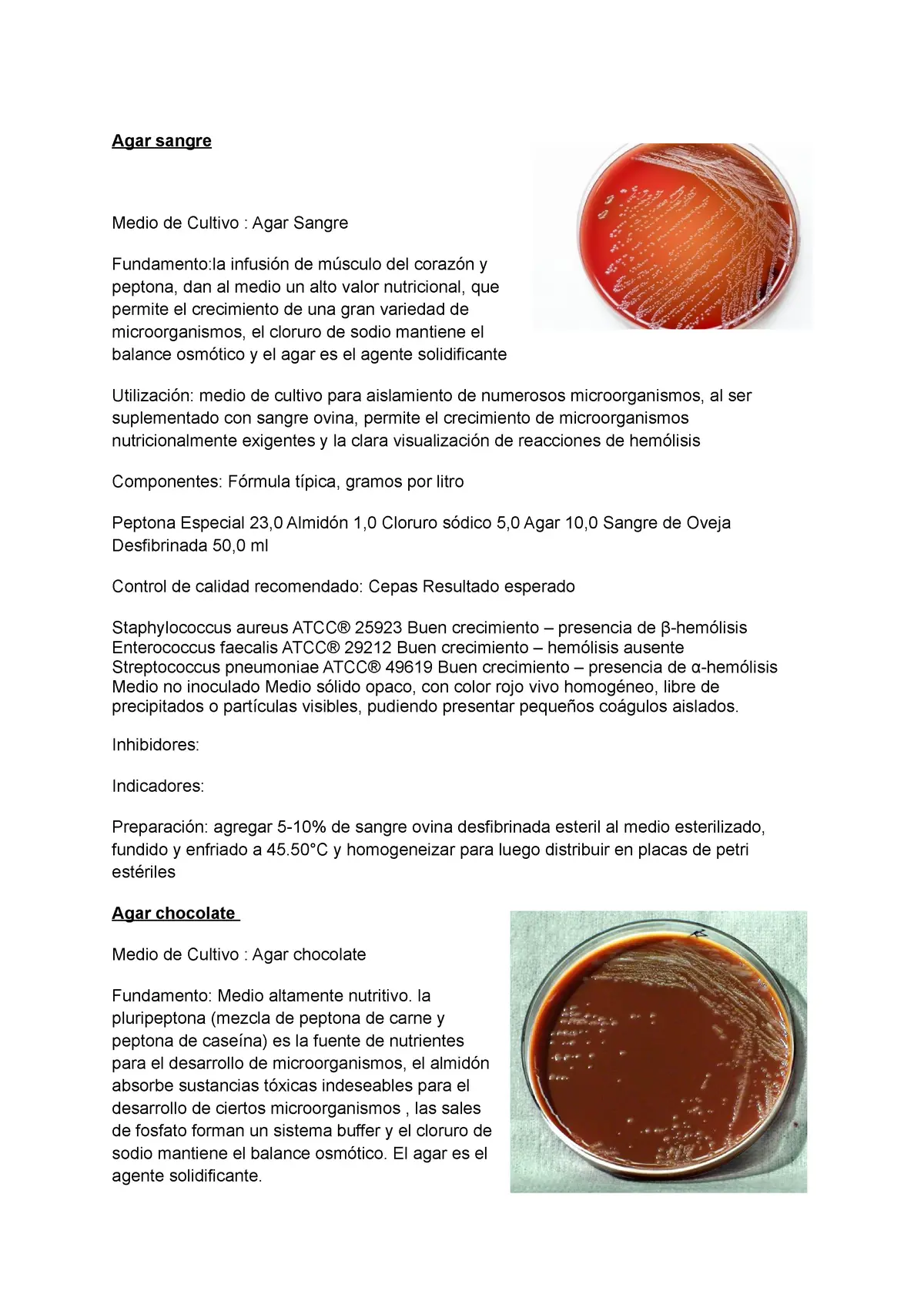 agar chocolate que bacterias crecen - Qué bacterias crecen en agar