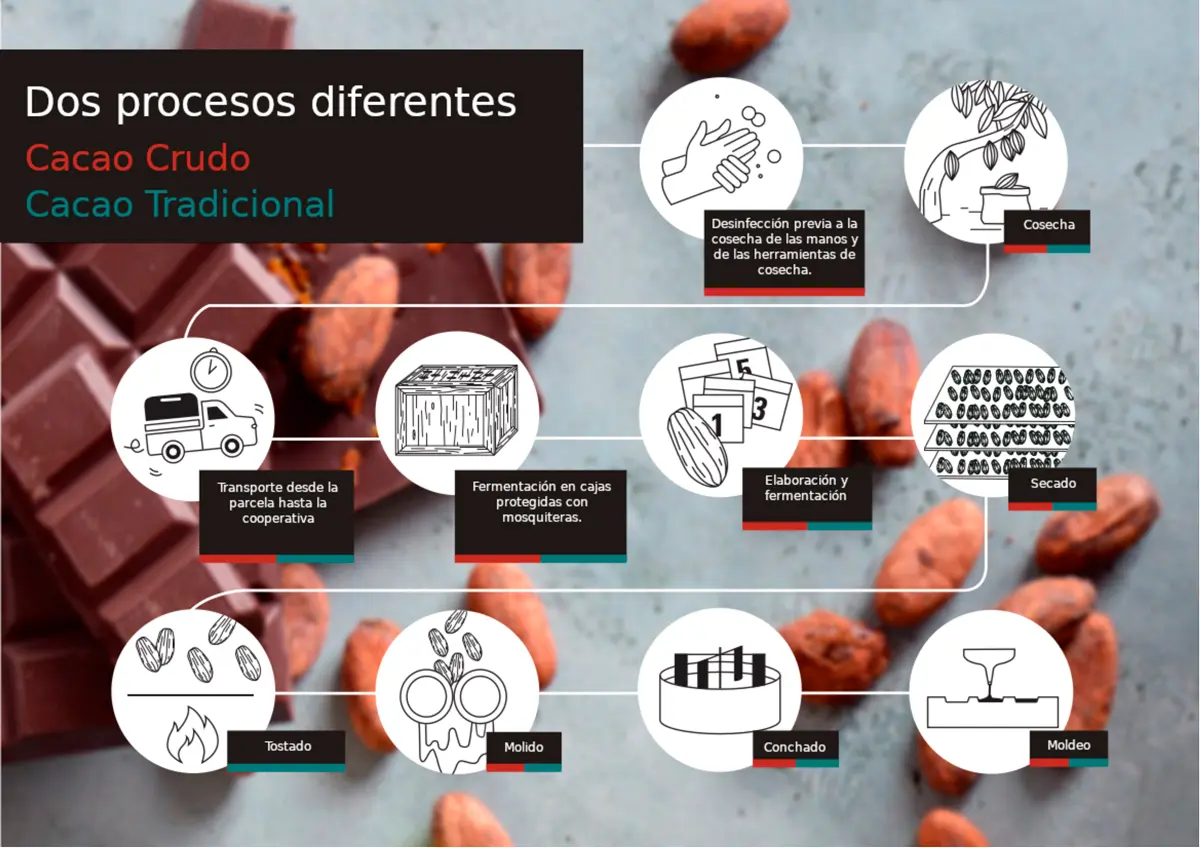 chocolate crudo - Qué beneficios tiene el cacao crudo