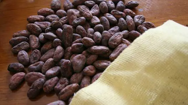 Las Mejores Marcas de Chocolate Peruano: Un Recorrido por el Cacao de Origen - Qué chocolate es peruano corimayo chocolate - Qué chocolate es peruano