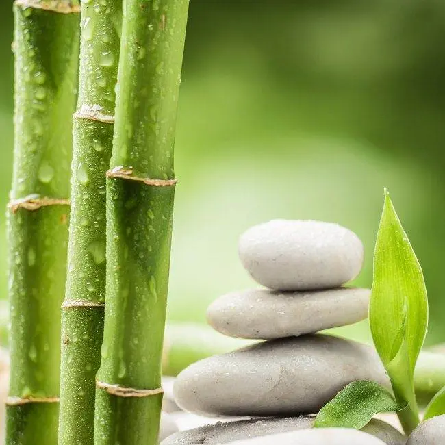 chocolate bamboo - Qué contiene el bamboo