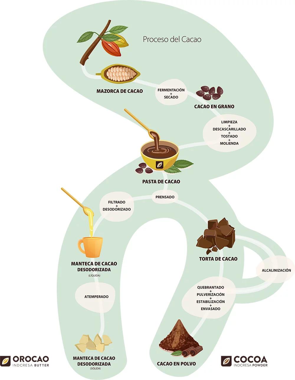 circuito productivo del chocolate para niños - Qué es un circuito productivo para niños de primaria