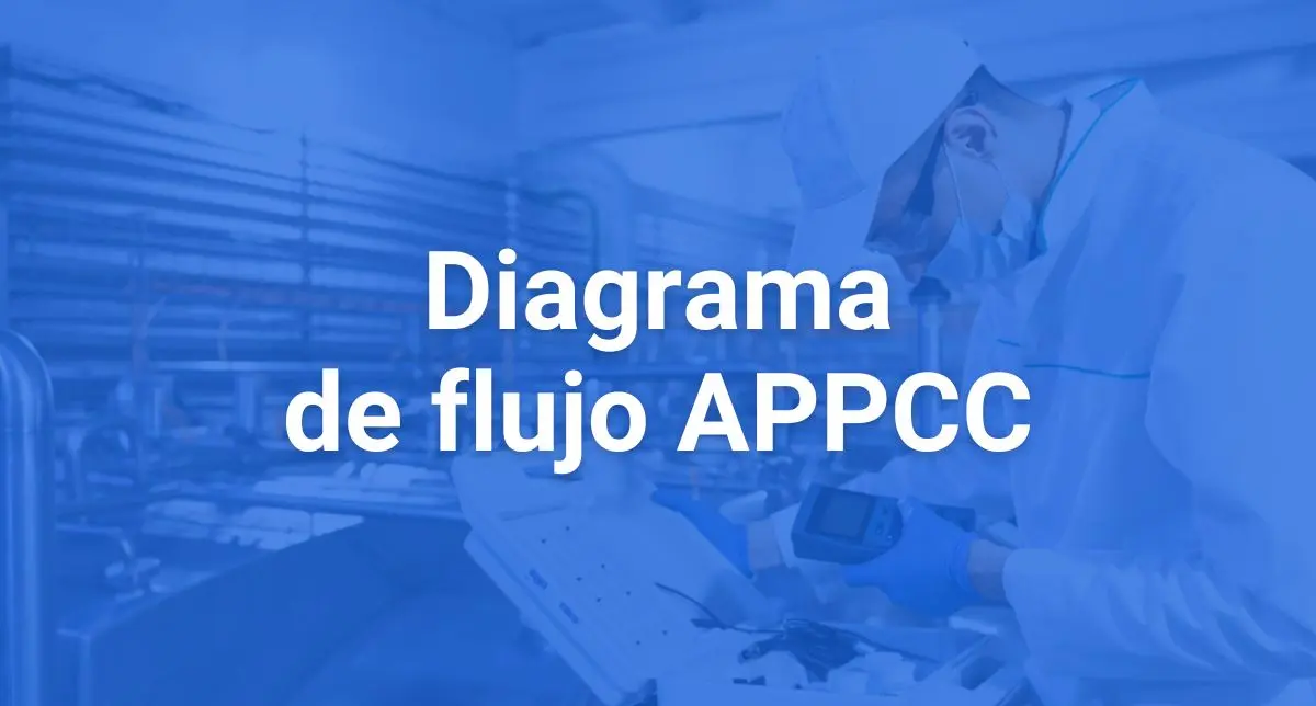 diagrama de flujo chocolate - Qué es un diagrama de flujo en los alimentos