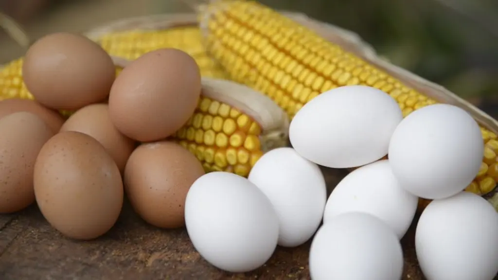 huevos chocolate grandes - Qué huevos son más grandes