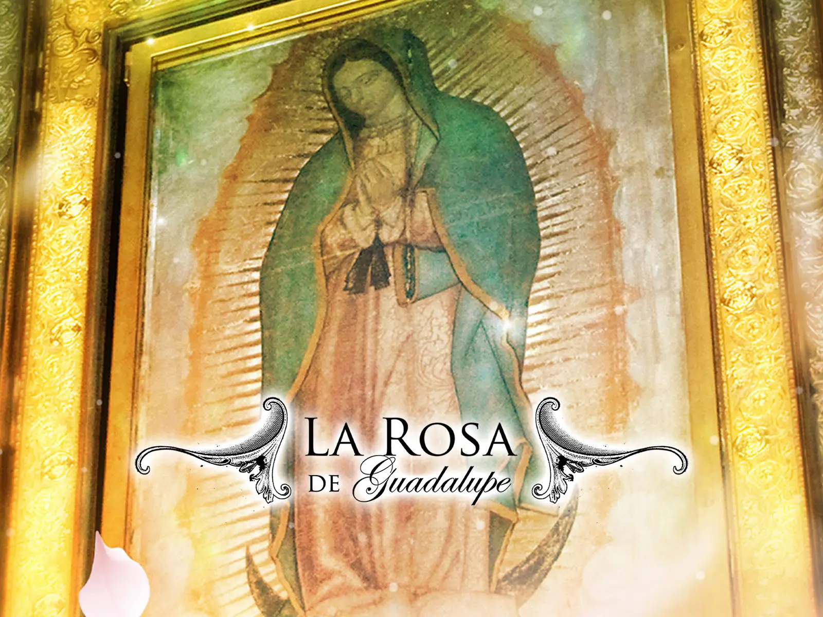 la rosa de guadalupe de su propio chocolate completo - Qué plataforma tiene La Rosa de Guadalupe