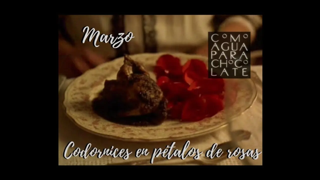agua para chocolate rosas - Qué se le puede poner al agua de las rosas