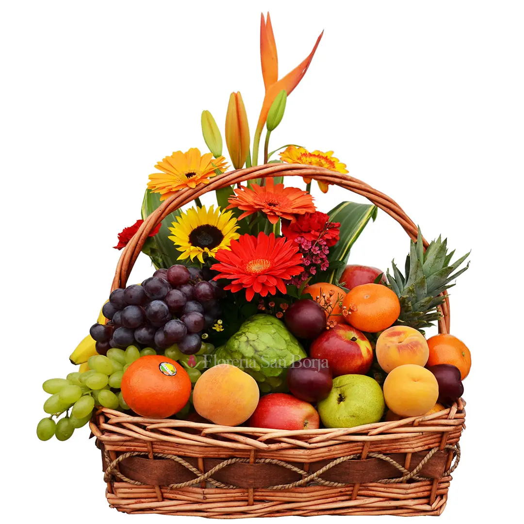 Canastas de frutas: un regalo ideal para cualquier ocasión - Qué simboliza una canasta chocolate canasta - Qué simboliza una canasta
