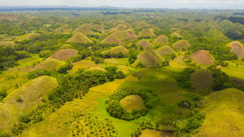 montañas de chocolate filipinas - Qué superficie tienen las colinas de chocolate de Filipinas