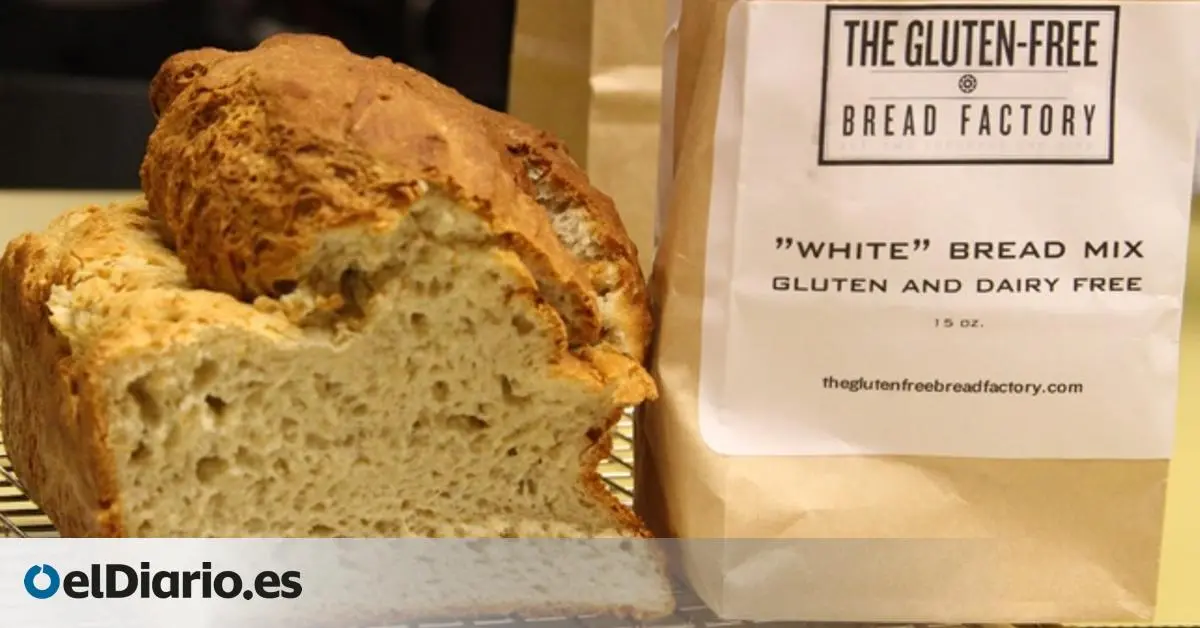 pan de chocolate sin gluten - Qué tipo de pan no contiene gluten