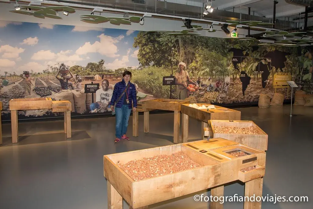 Descubre la Fábrica de Chocolate Frey en Suiza: Un Viaje al Corazón del Cacao - Quién le vende el cacao a Suiza fabrica de chocolate nestle en suiza - Quién le vende el cacao a Suiza