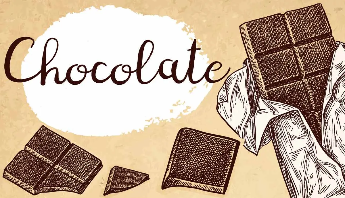 fun facts about chocolate - What are the old facts about chocolate