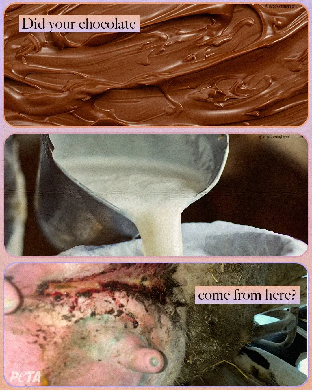 chocolate and antibiotics - What foods interfere with antibiotics