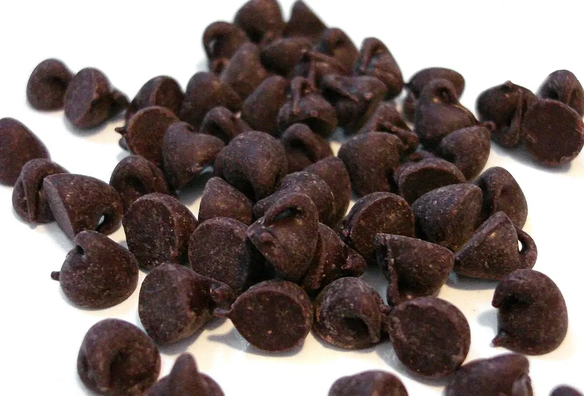 chocolate chip vector - What is the shape of a chocolate chip
