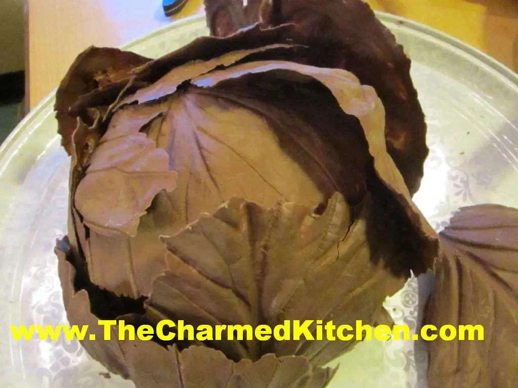 chocolate cabbage - What is this cabbage