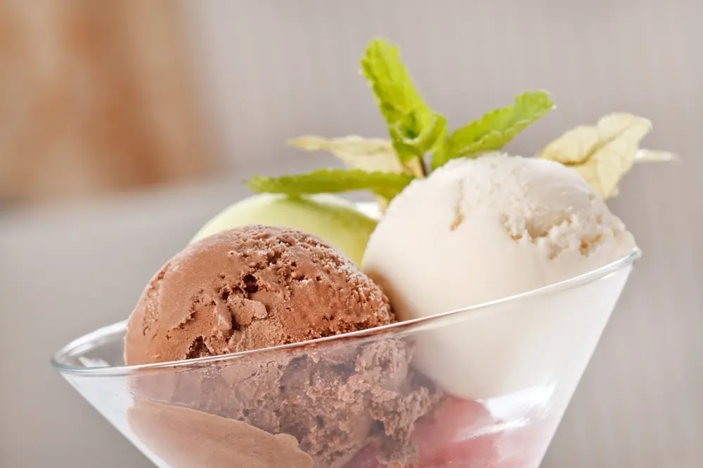 best chocolate ice cream - Which is better vanilla or chocolate ice cream