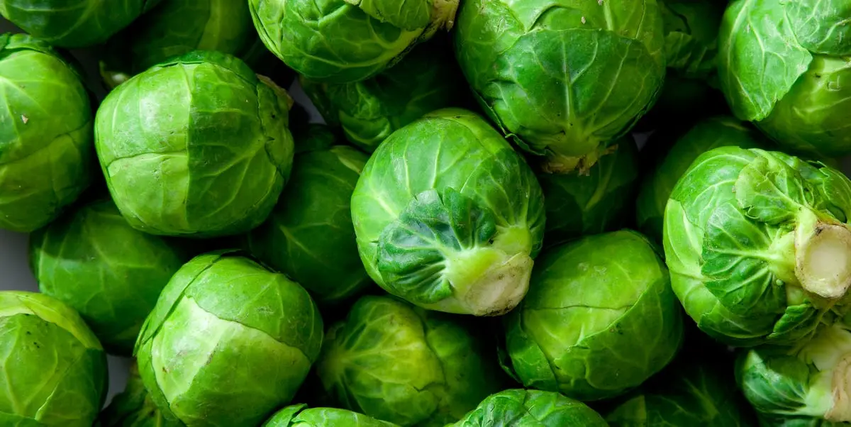chocolate brussel sprouts - Why do bodybuilders eat brussel sprouts
